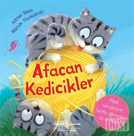 Afacan Kedicikler